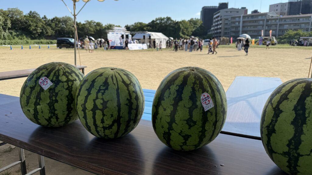 兵庫県川西青年会議所主催納涼花火祭り9