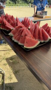 兵庫県川西青年会議所主催納涼花火祭り8