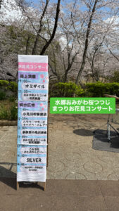 水郷小見川桜ツツジまつりお花見コンサート