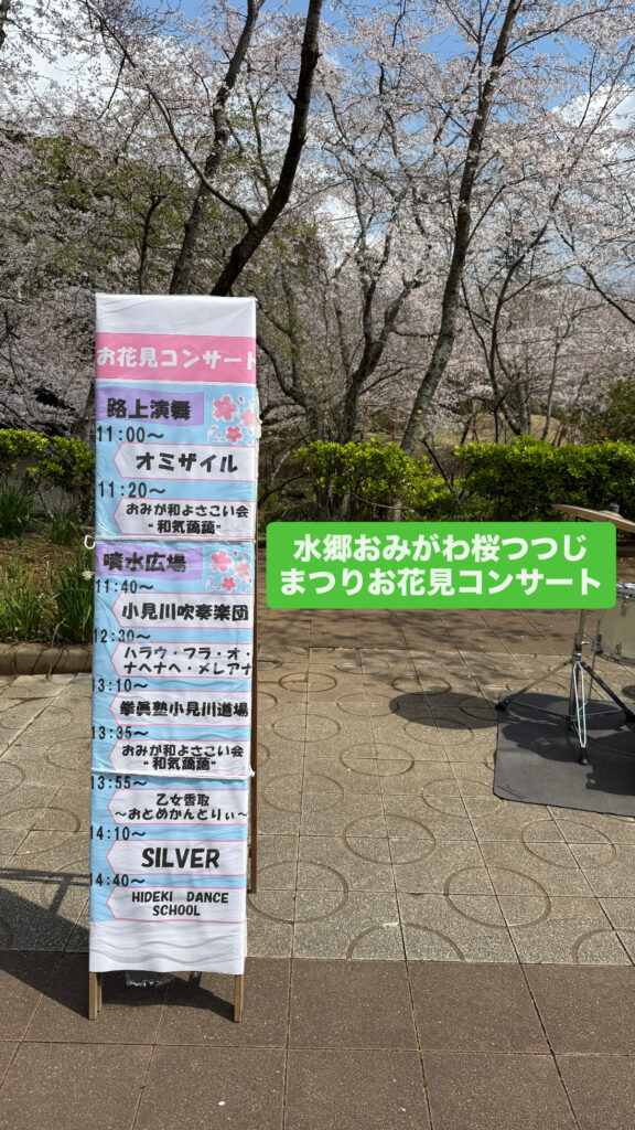 水郷小見川桜ツツジまつりお花見コンサート
