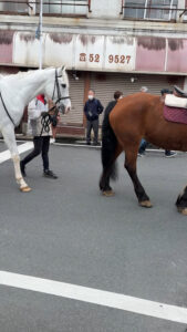 令和8年香取神宮式年神幸祭2日目2