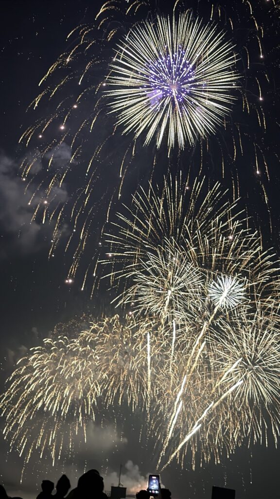 水郷おみがわ花火大会2026ー1